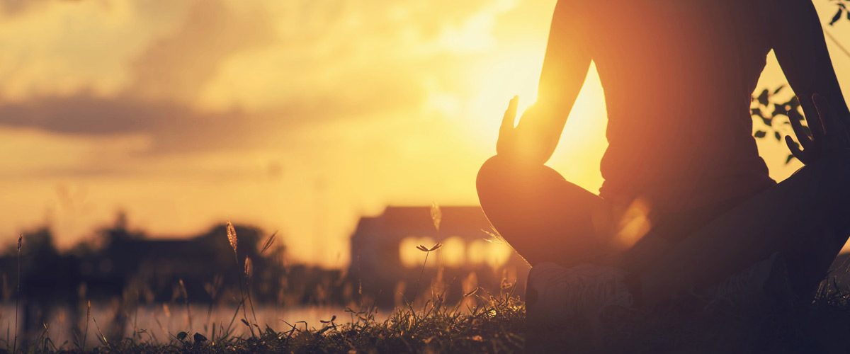 Mensen sporten, mediteren en genieten van gezonde voeding in een zonnig park.